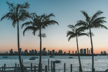 Florida should be your top choice when going to drug rehab due to its proximity to water and nature